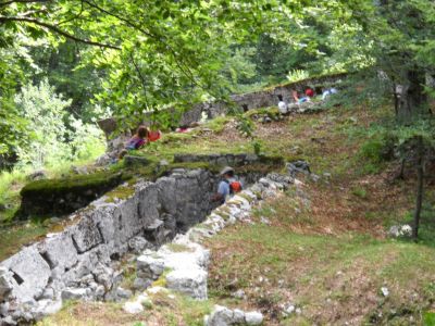 Kliknite za ogled večje slike
