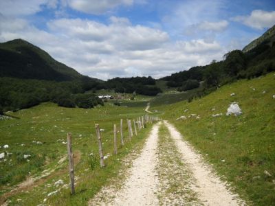 Kliknite za ogled večje slike