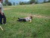 drezniske2010K__057.JPG