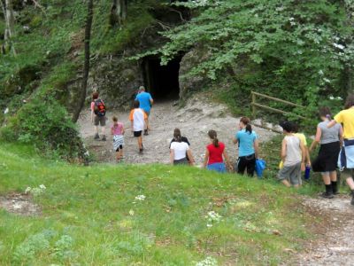 Kliknite za ogled večje slike
