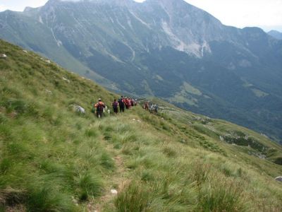 Kliknite za ogled večje slike