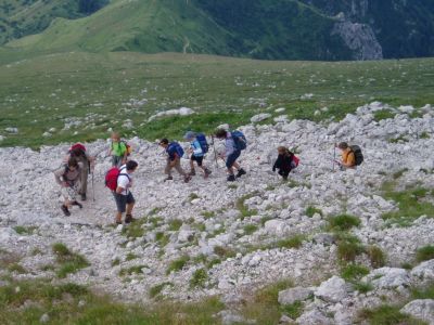 Kliknite za ogled večje slike