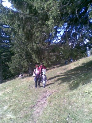 Kliknite za ogled večje slike