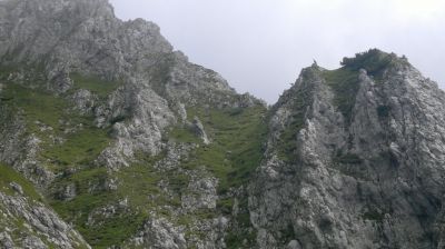 Kliknite za ogled večje slike