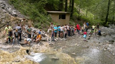 Kliknite za ogled večje slike