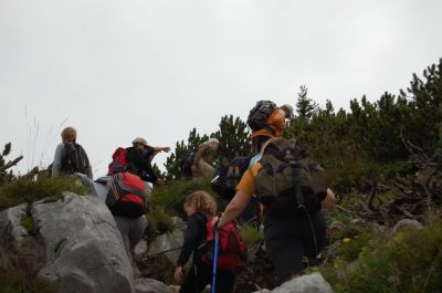 Kliknite za ogled večje slike