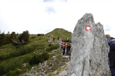 Kliknite za ogled večje slike