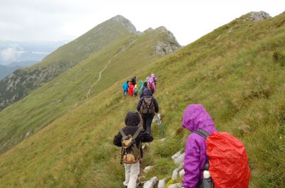 Kliknite za ogled večje slike