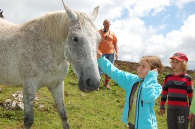 Kliknite za ogled večje slike
