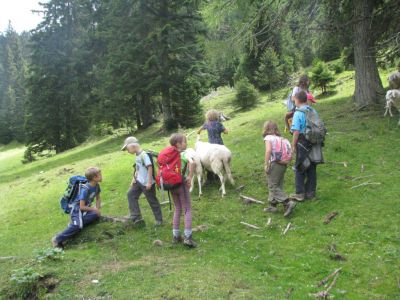 Kliknite za ogled večje slike