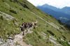 DSC_0556.JPG