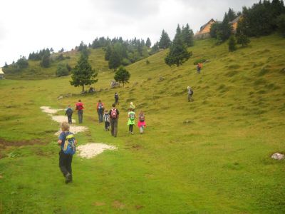 Kliknite za ogled večje slike