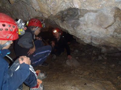 Kliknite za ogled večje slike