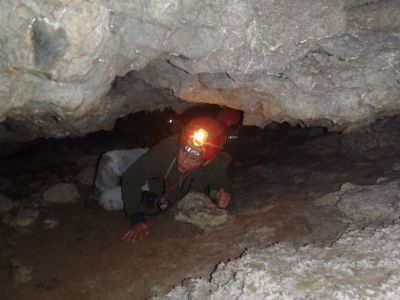 Kliknite za ogled večje slike