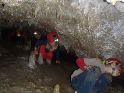 Kliknite za ogled večje slike