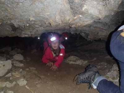 Kliknite za ogled večje slike