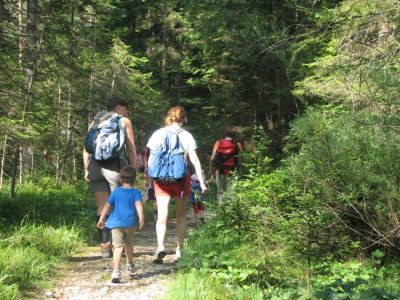 Kliknite za ogled večje slike