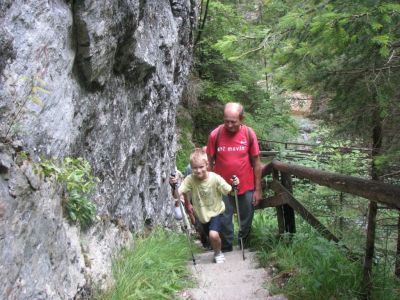 Kliknite za ogled večje slike