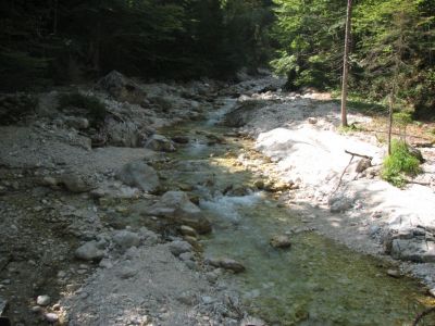 Kliknite za ogled večje slike