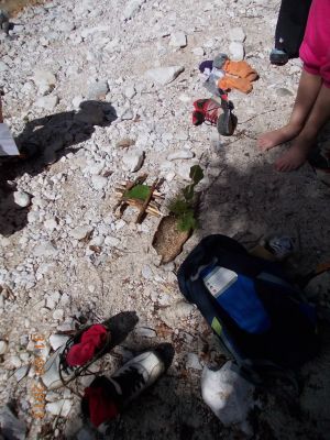 Kliknite za ogled večje slike