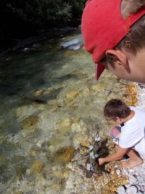 Kliknite za ogled večje slike