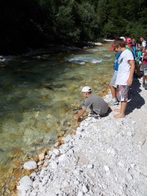 Kliknite za ogled večje slike