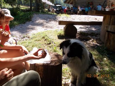 Kliknite za ogled večje slike