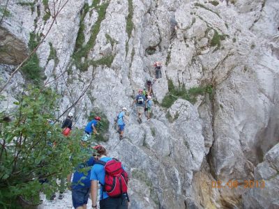 Kliknite za ogled večje slike