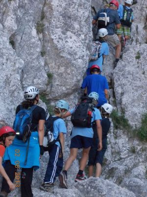 Kliknite za ogled večje slike
