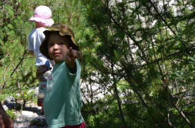 Kliknite za ogled večje slike