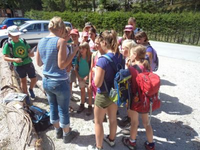 Kliknite za ogled večje slike