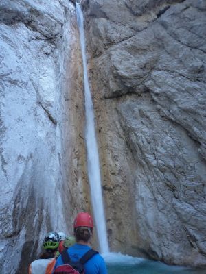 Kliknite za ogled večje slike