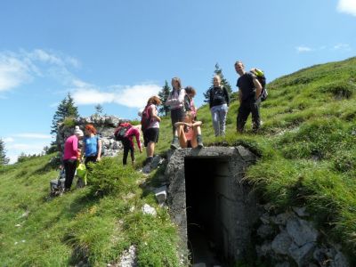 Kliknite za ogled večje slike