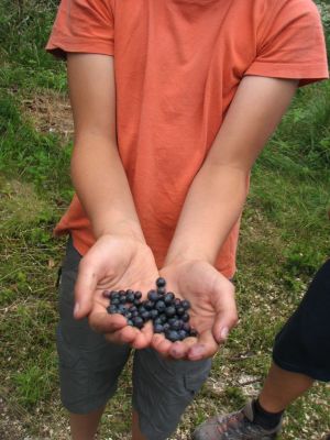 Kliknite za ogled večje slike