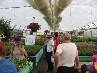 Kliknite za ogled večje slike