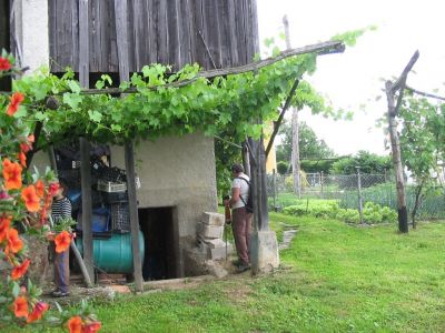 Kliknite za ogled večje slike