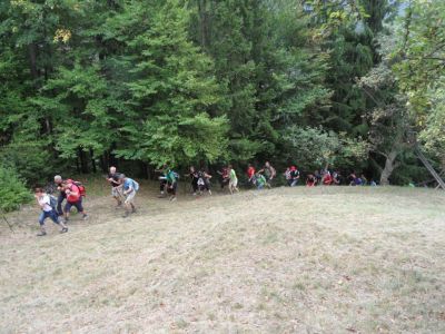 Kliknite za ogled večje slike