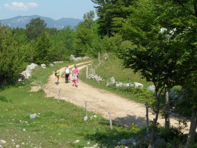 Kliknite za ogled večje slike