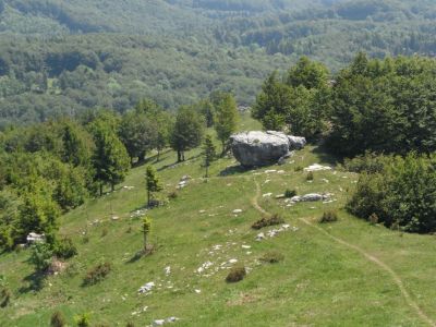 Kliknite za ogled večje slike