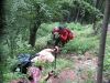 Porezen300509_028.jpg