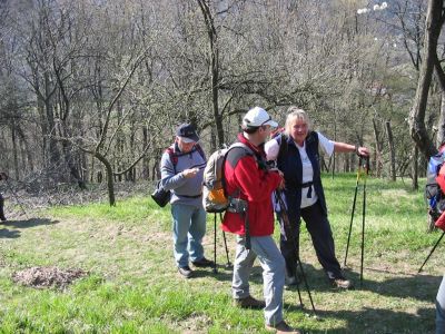 Kliknite za ogled večje slike