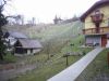 20100327_17.JPG
