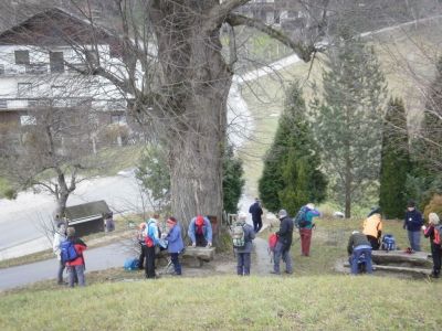 Kliknite za ogled večje slike